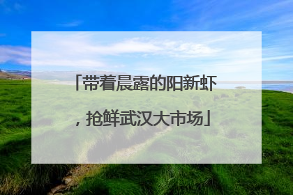 带着晨露的阳新虾，抢鲜武汉大市场