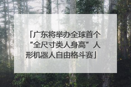 广东将举办全球首个“全尺寸类人身高”人形机器人自由格斗赛