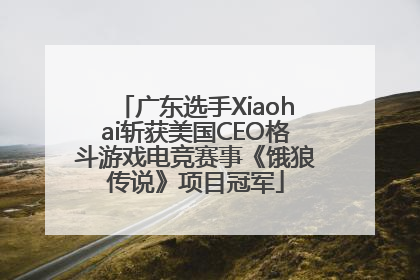 广东选手Xiaohai斩获美国CEO格斗游戏电竞赛事《饿狼传说》项目冠军