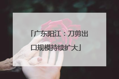 广东阳江：刀剪出口规模持续扩大