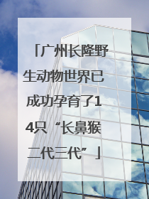 广州长隆野生动物世界已成功孕育了14只“长鼻猴二代三代”