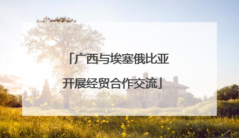广西与埃塞俄比亚开展经贸合作交流