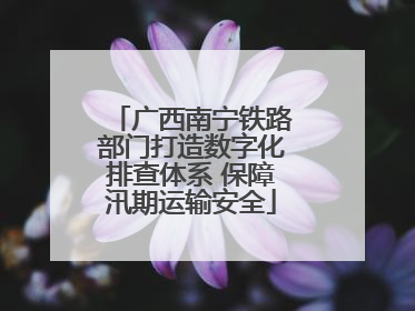 广西南宁铁路部门打造数字化排查体系 保障汛期运输安全