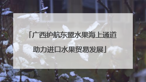 广西护航东盟水果海上通道 助力进口水果贸易发展