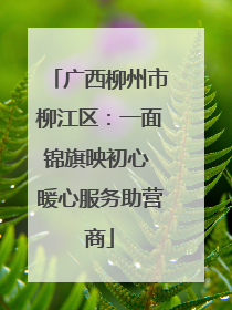 广西柳州市柳江区：一面锦旗映初心 暖心服务助营商