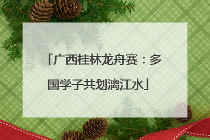广西桂林龙舟赛：多国学子共划漓江水