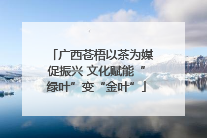 广西苍梧以茶为媒促振兴 文化赋能“绿叶”变“金叶”