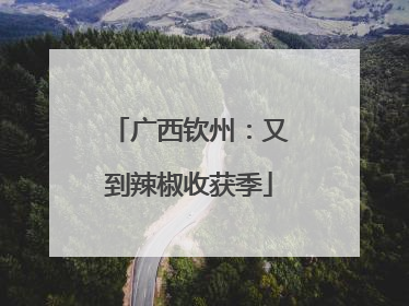 广西钦州：又到辣椒收获季