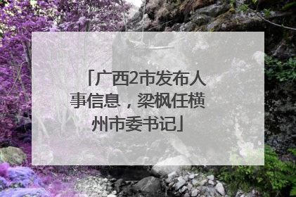 广西2市发布人事信息，梁枫任横州市委书记