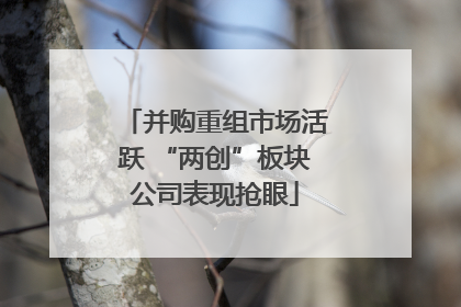 并购重组市场活跃 “两创”板块公司表现抢眼