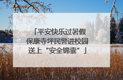 平安快乐过暑假 保康寺坪民警进校园送上“安全锦囊”