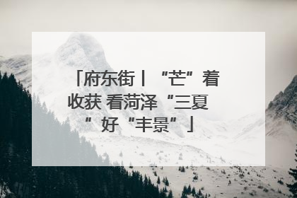 府东街丨“芒”着收获 看菏泽“三夏”好“丰景”