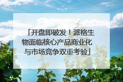 开盘即破发！派格生物面临核心产品商业化与市场竞争双重考验