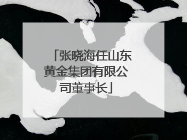 张晓海任山东黄金集团有限公司董事长