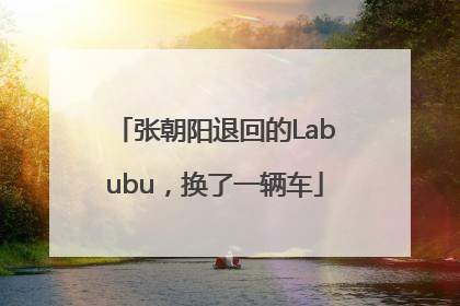 张朝阳退回的Labubu，换了一辆车