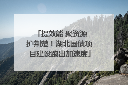 提效能 聚资源 护荆楚！湖北国债项目建设跑出加速度