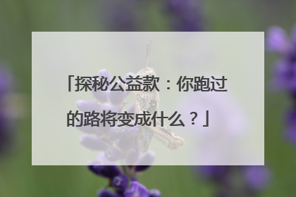 探秘公益款：你跑过的路将变成什么？
