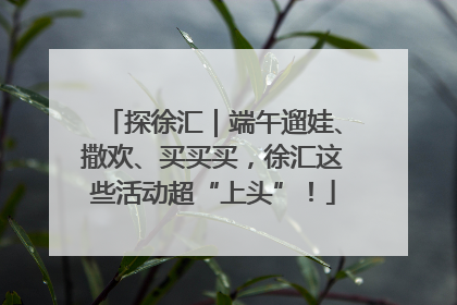 探徐汇｜端午遛娃、撒欢、买买买，徐汇这些活动超“上头”！
