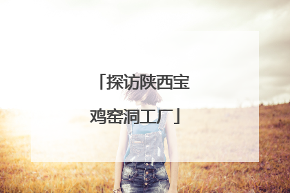 探访陕西宝鸡窑洞工厂