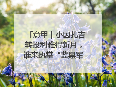 意甲｜小因扎吉转投利雅得新月，谁来执掌“蓝黑军团”帅印？