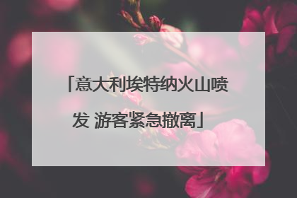 意大利埃特纳火山喷发 游客紧急撤离
