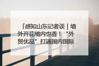 感知山东记者谈｜墙外开花墙内也香！“外贸优品”打通国内国际市场“旋转门”