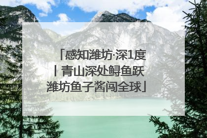 感知潍坊·深1度丨青山深处鲟鱼跃 潍坊鱼子酱闯全球