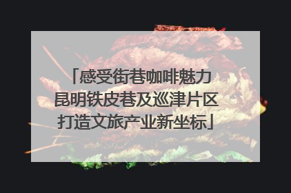 感受街巷咖啡魅力 昆明铁皮巷及巡津片区打造文旅产业新坐标