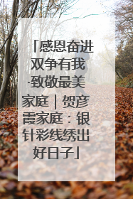 感恩奋进 双争有我·致敬最美家庭｜贺彦霞家庭：银针彩线绣出好日子
