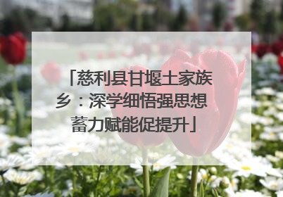 慈利县甘堰土家族乡：深学细悟强思想 蓄力赋能促提升