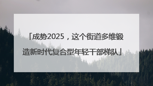 成势2025，这个街道多维锻造新时代复合型年轻干部梯队