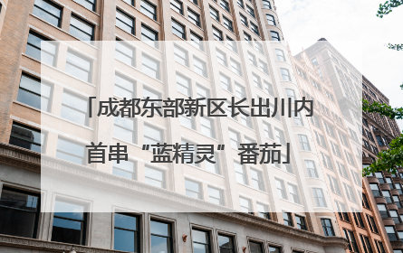成都东部新区长出川内首串“蓝精灵”番茄