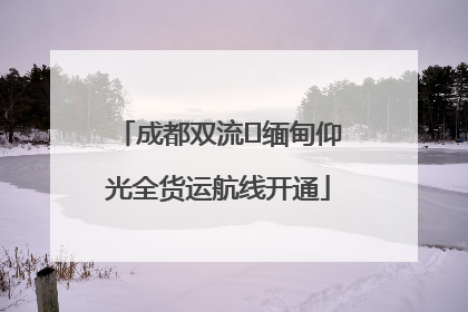 成都双流⇌缅甸仰光全货运航线开通