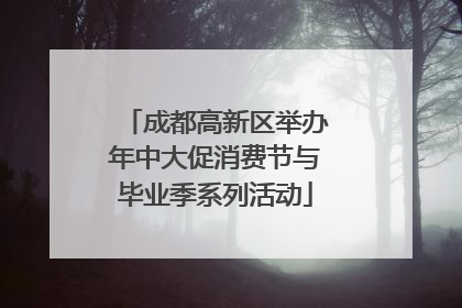 成都高新区举办年中大促消费节与毕业季系列活动
