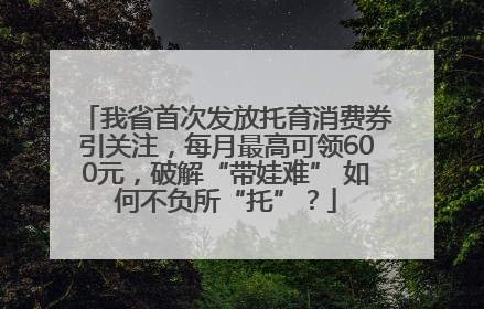 我省首次发放托育消费券引关注，每月最高可领600元，破解“带娃难” 如何不负所“托”？
