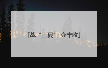 战“三夏” 夺丰收