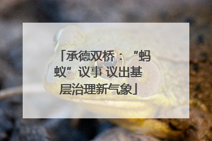 承德双桥：“蚂蚁”议事 议出基层治理新气象