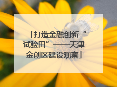打造金融创新“试验田”——天津金创区建设观察
