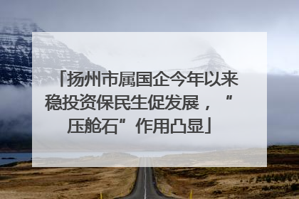 扬州市属国企今年以来稳投资保民生促发展，“压舱石”作用凸显
