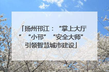 扬州邗江：“掌上大厅”“小邗”“安全大师”引领智慧城市建设