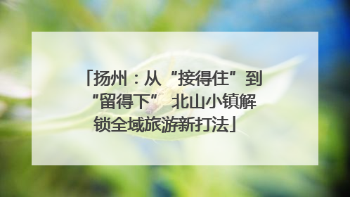 扬州：从“接得住”到“留得下” 北山小镇解锁全域旅游新打法