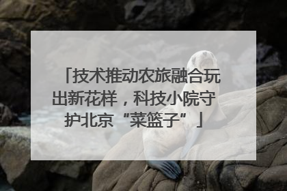技术推动农旅融合玩出新花样，科技小院守护北京“菜篮子”
