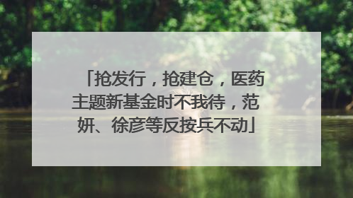 抢发行，抢建仓，医药主题新基金时不我待，范妍、徐彦等反按兵不动