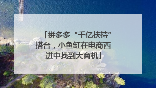 拼多多“千亿扶持”搭台，小鱼缸在电商西进中找到大商机