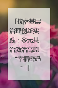 拉萨基层治理创新实践：多元共治激活高原“幸福密码”