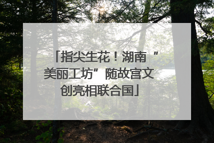 指尖生花！湖南“美丽工坊”随故宫文创亮相联合国