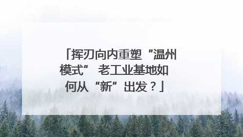 挥刃向内重塑“温州模式” 老工业基地如何从“新”出发？