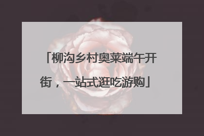 柳沟乡村奥莱端午开街，一站式逛吃游购