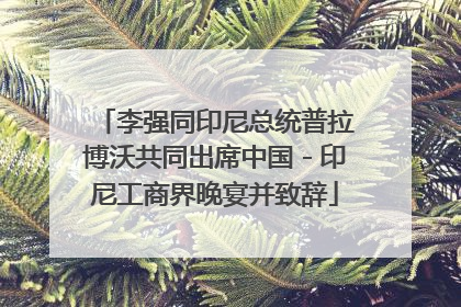 李强同印尼总统普拉博沃共同出席中国－印尼工商界晚宴并致辞