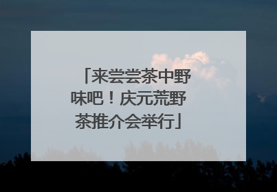 来尝尝茶中野味吧！庆元荒野茶推介会举行